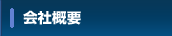 ЊTv